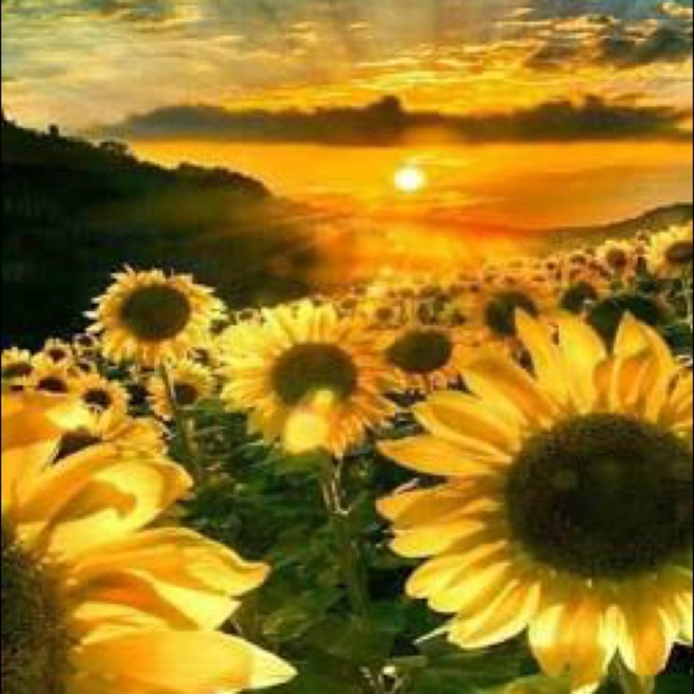 Meet your Posher, Audree